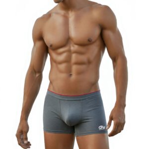 Boxer Trunk Gris