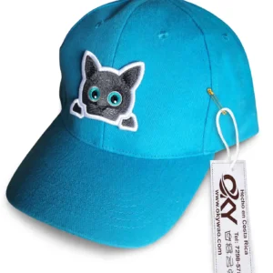 Azul Azur Gato gris